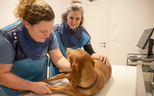 Zwei Frauen untersuchen einen Hund. | © BIS Bremerhaven/ W. Heumer 