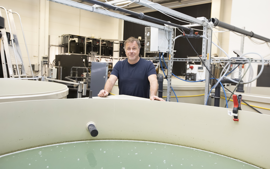 Dr. Ende im Institut | © WFB/Jens Lehmkühler