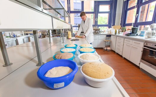 Unterschiedliche Pizzateige stehen bereit | © WFB/Jens Lehmkühler  