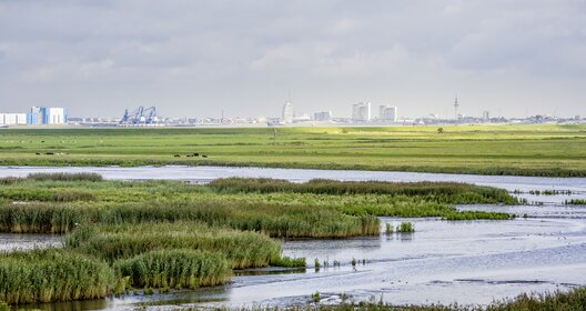 PM Bedarfsgerechte Steuerung der Sielentwässerung