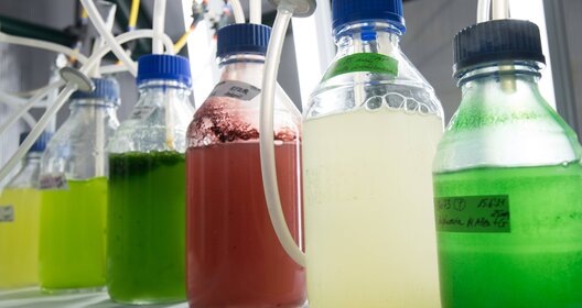 PM Wissenschaftspreis 2022