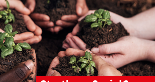 SocialCamps